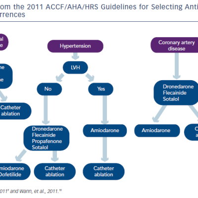 Figure 2 Algorithm Adapted From the 2011 ACCF/AHA/HRS Guidelines for Selecting Antiarrhythmic Drug Therapy to Prevent Atrial Fibrillation Recurrences