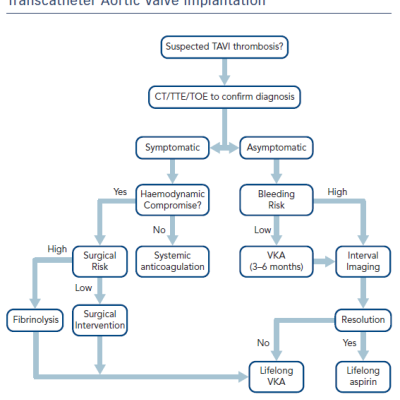 Figure 2 An Approach To The Management of Patients Presenting With Valve Thrombosis Early After Transcatheter Aortic Valve Implantation