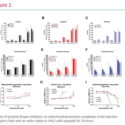 Mechanisms of Cardiotoxicity Associated