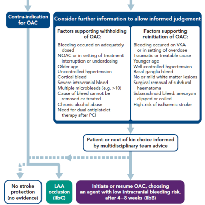 Figure 2 Initiation or Resumption of Anticoagulation in Atrial Fibrillation Patients After an Intracranial Bleed