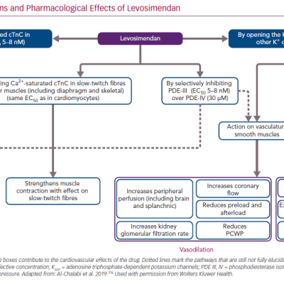 Mode of Actions and Pharmacological Effects of Levosimendan