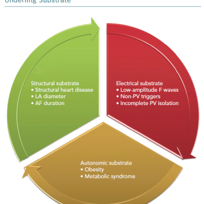 Predictors of Recurrence of AF After Radiofrequency Ablation Divided Depending on the Underling Substrate