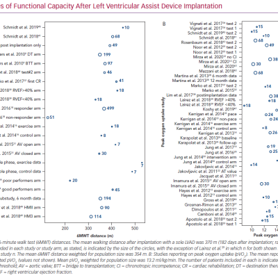 Studies of Functional Capacity After Left Ventricular