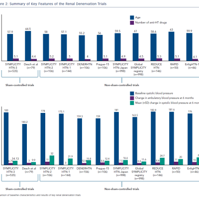 Summary of Key Features of the Renal Denervation Trials