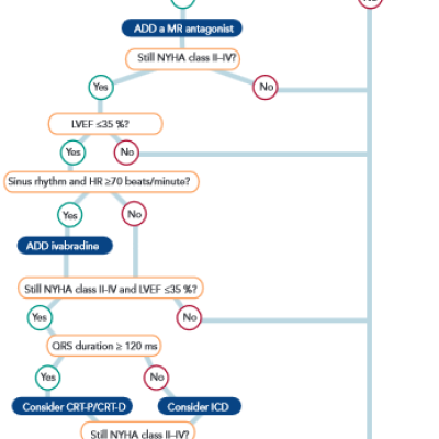 ESC Guidelines for the Management of LVSD100