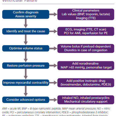 Algorithm for the Treatment of Acute Right Ventricular Failure