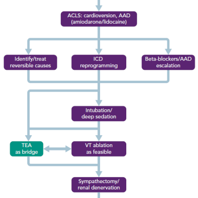 An Overview of Management for Patients Presenting with VT Storm