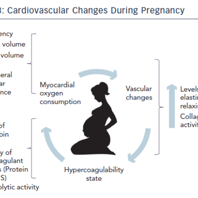 figure 3-cardiovascular-changes
