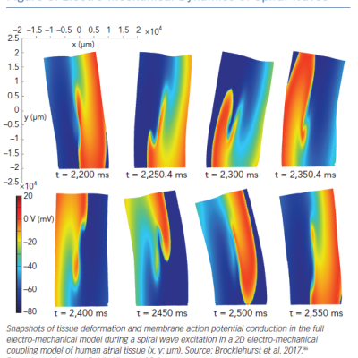 Electro-mechanical Dynamics of Spiral Waves