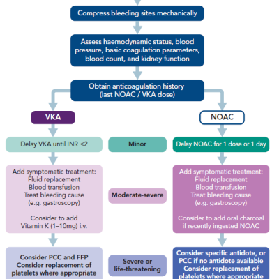 Figure 3 Management of Active Bleeding in Patients Receiving Anticoagulation