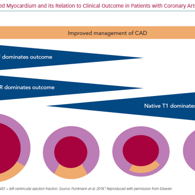 Non-infarcted Myocardium and its Relation