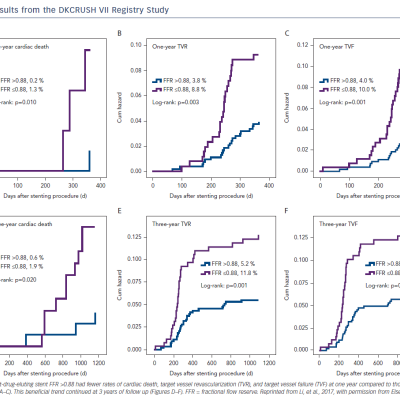 Figure 3 Results from the DKCRUSH VII Registry Study