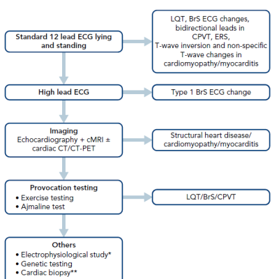 Figure 3 The Barts Protocol for Assessment of&ampltbr /&ampgt&amp10Unexplained Cardiac Arrest in the Context of Unobstructed Coronary Vessels