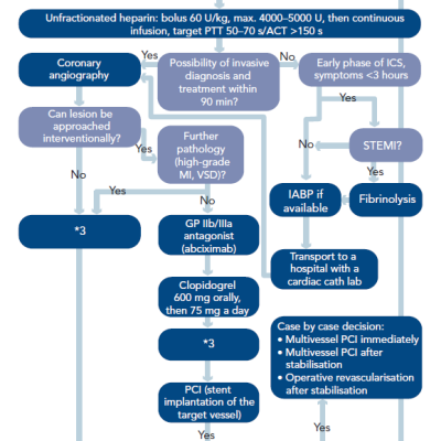 figure 4-algorithm-revascularisation