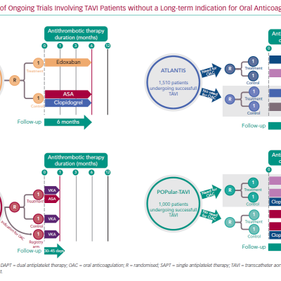 Design of Ongoing Trials Involving TAVI Patients