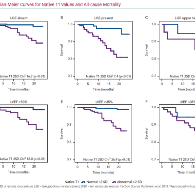 Kaplan-Meier Curves for Native T1 Values and All-cause Mortality