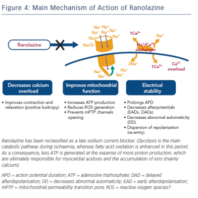 Main Mechanism of Action of Ranolazine