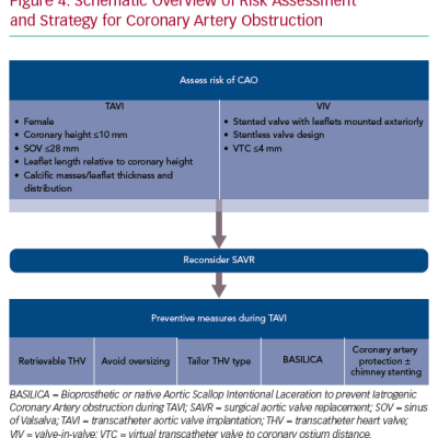 Schematic Overview of Risk Assessment and Strategy