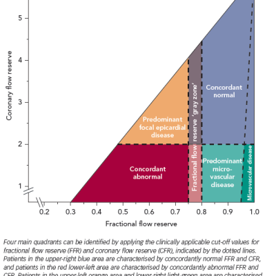 Figure 5 Conceptual Plot of the Fractional Flow Reserve– Coronary Flow Reserve Relationship