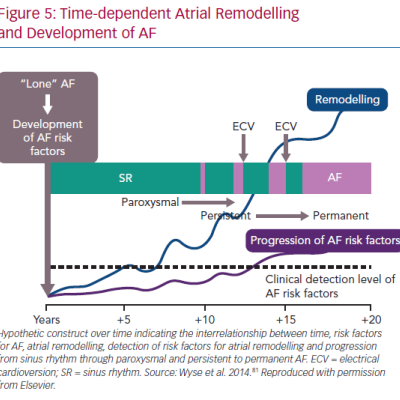 Time-dependent Atrial Remodelling