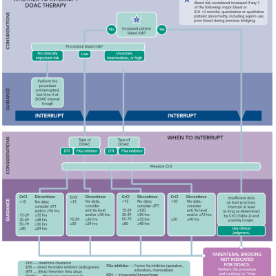 Figure 6 Whether to Interrupt and How to Interrupt for Direct Oral Anticoagulants