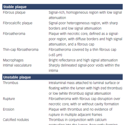 Table 2 Stable and Unstable Plaque Morphology by Optical Coherence Tomography