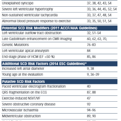 Major SCD Risk Factors