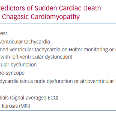 Predictors of Sudden Cardiac Death in Chronic Chagasic Cardiomyopathy