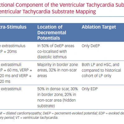 Studies Assessing the Functional Component of the Ventricular Tachycardia Substrate Extrastimulus Techniques for the Ventricular Tachycardia Substrate Mapping