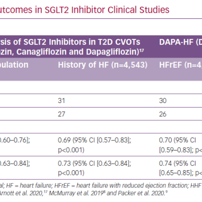 Summary of Heart Failure Outcomes in SGLT2 Inhibitor Clinical Studies