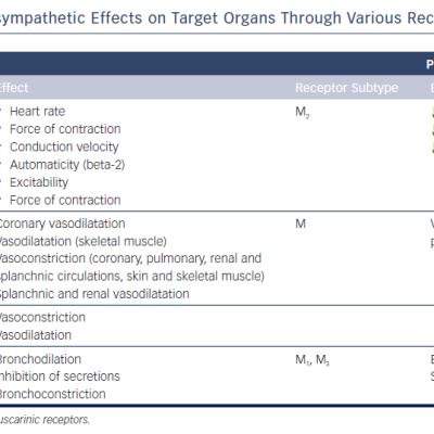 Sympathetic &ampamp Parasympathetic Effects