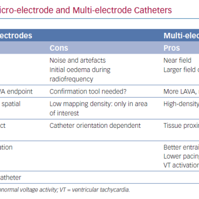 Pros and Cons of Mini- or Micro-electrode and Multi-electrode Catheters
