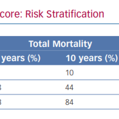 Rassi’s Score Risk Stratification