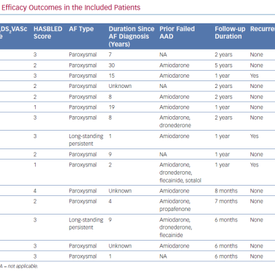 Safety and Efficacy Outcomes in the Included Patients
