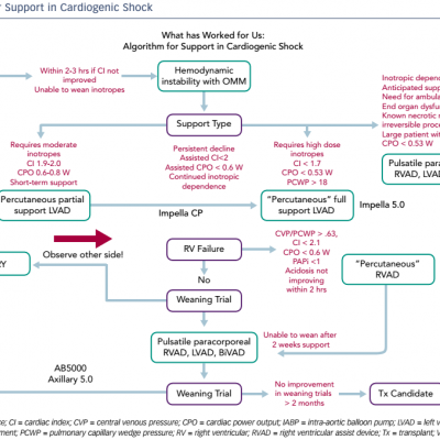 Algorithm for Support in Cardiogenic Shock
