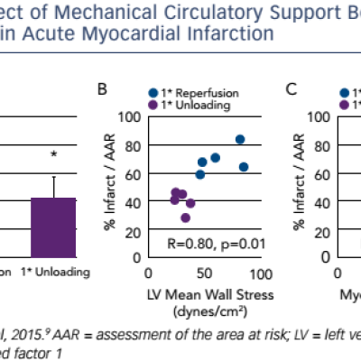 Effect of Mechanical Circulatory Support Before Reperfusion in Acute Myocardial Infarction