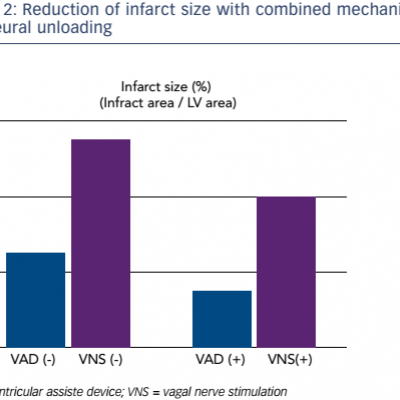 Reduction of infarct size with combined mechanical and neural unloading