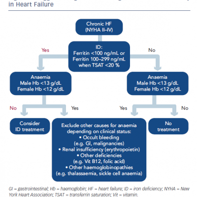 Suggested Algorithm for Diagnosis of Iron Deficiency in Heart Failure
