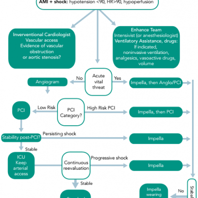 Proposed Algorithm for the Treatment of Acute Myocardial Infarction and Cardiogenic Shock