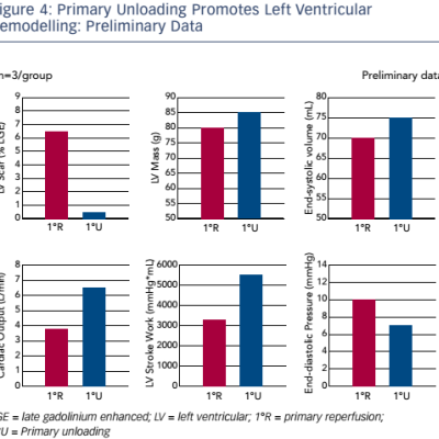 Primary Unloading Promotes Left Ventricular Remodelling Preliminary Data