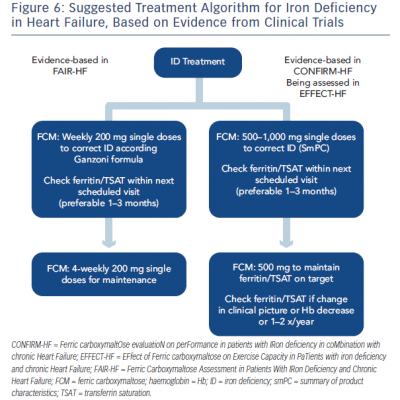 Suggested Treatment Algorithm for Iron Deficiency in Heart Failure Based on Evidence from Clinical Trials