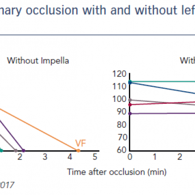 Coronary occlusion with and without left ventricular support