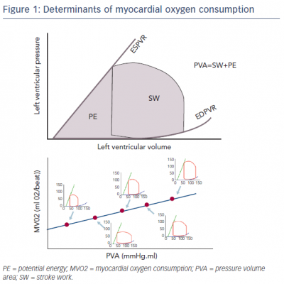 Determinants of myocardial oxygen consumption