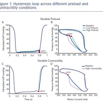 Hysteresis loop across different preload and contractility conditions