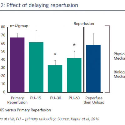 Effect of delaying reperfusion