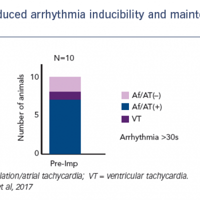 Reduced arrhythmia inducibility and maintenance with the Impella