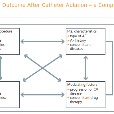 Outcome After Catheter Ablation – a Complex Scenario