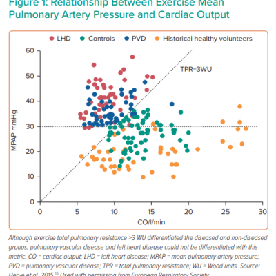 Relationship Between Exercise Mean Pulmonary Artery Pressure and Cardiac Output