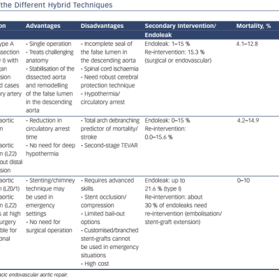 Table 1 Features of the Different Hybrid Techniques