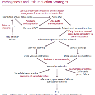 Post-thrombotic Syndrome Pathogenesis